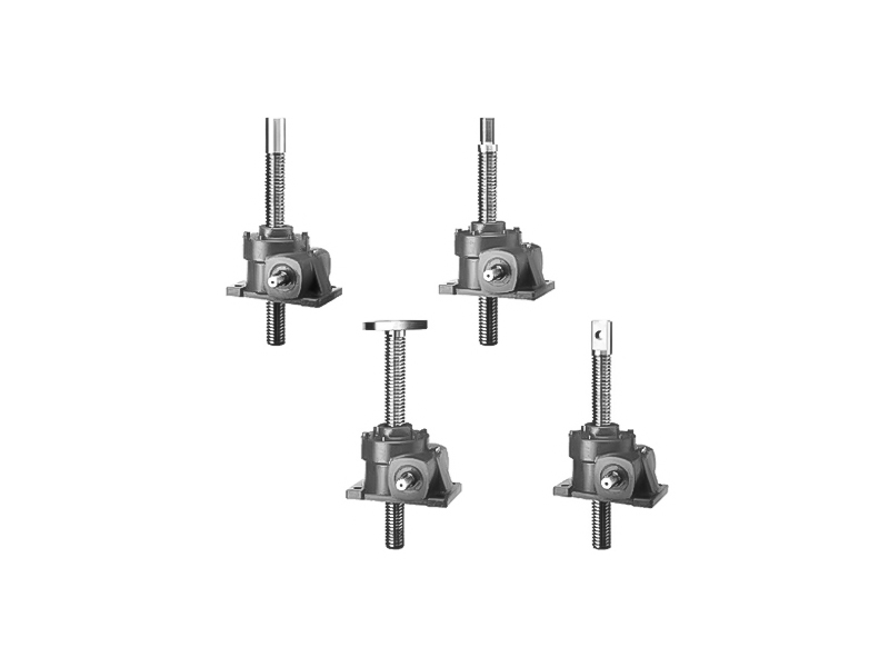 TRSS series worm gear screw lift