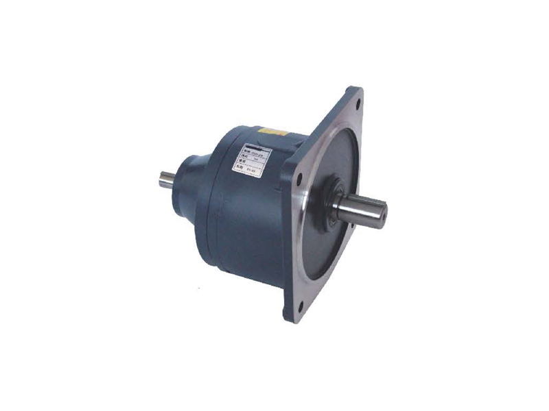 GVD vertical double shaft gear reducer