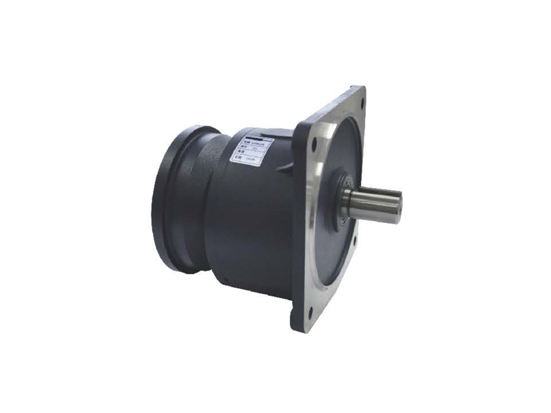 GVM vertical force flange gear reducer