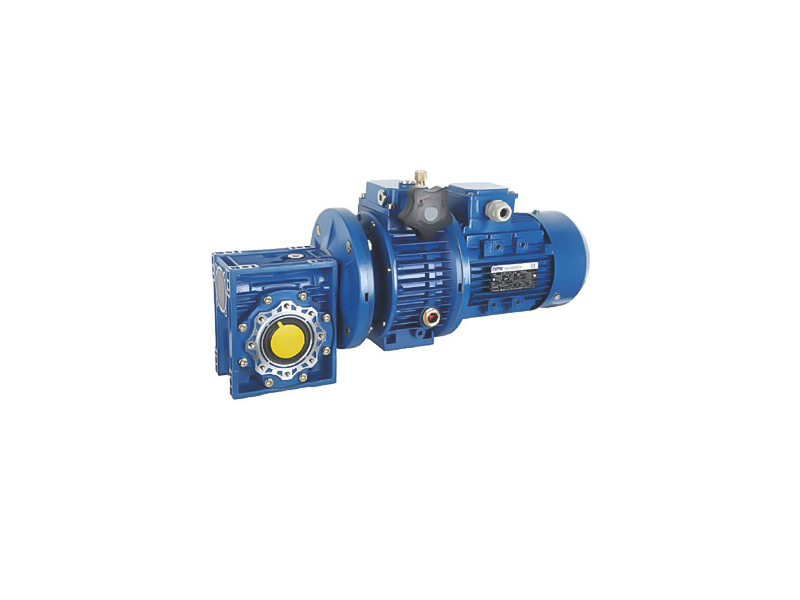 UDL+NMRV CVT and Worm Gear Reducer Combination