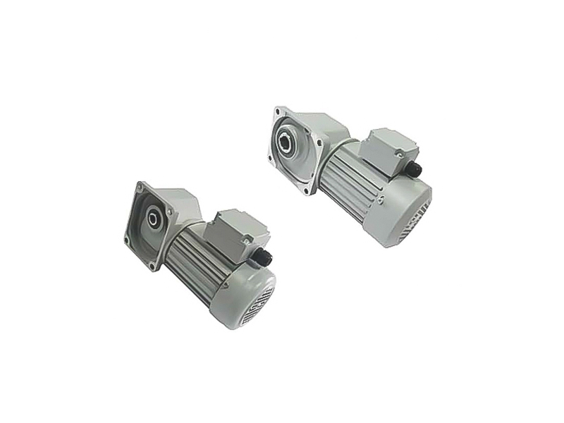 Right-angle shaft geared motor