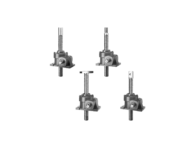 TRSS series worm gear screw lift