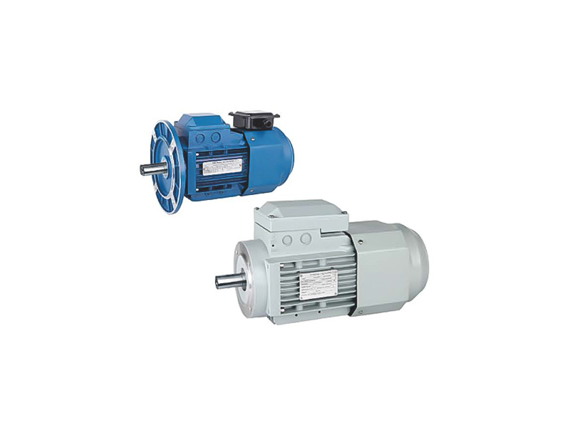 Inverter motors