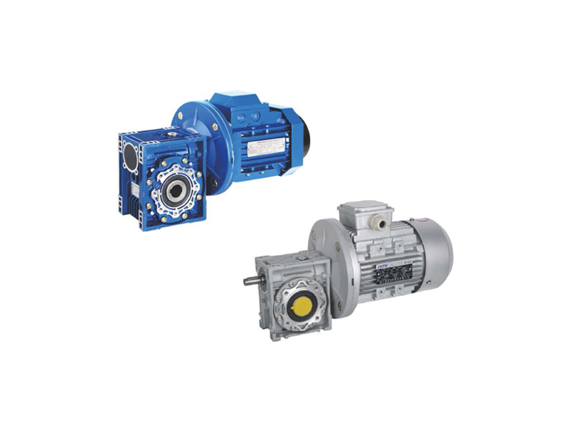 Worm gear reducer