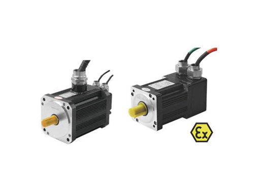 Explosion proof servo motor