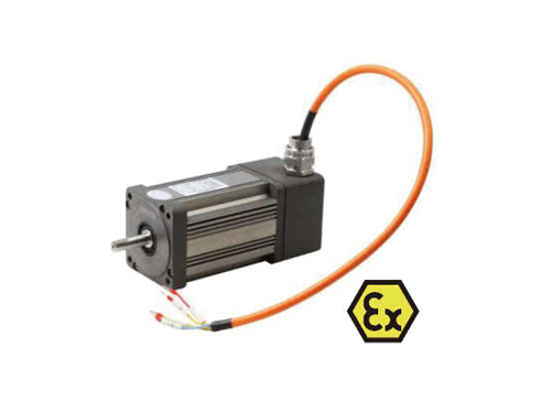 Explosion proof stepper motor