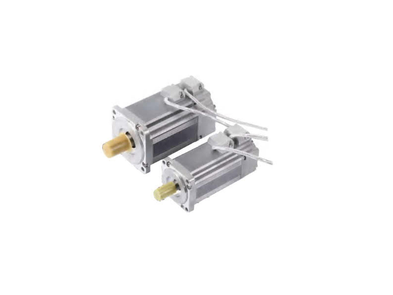 Radiation resistant - high and low temperature - vacuum servo motor